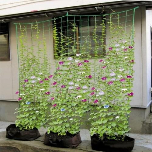 Garden Plants Climbing Net Holder Garden Netting Climbing Net Climbing Plant Gardening Fruit Plant Rope Outdoor Nylon Grow Net
