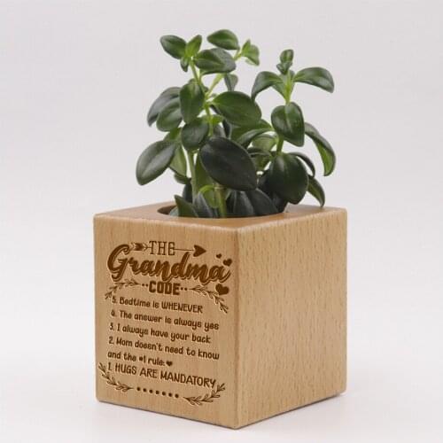 Wooden Succulent Planter Pot Balcony Fleshy Potted Plant Customized With Own Logo Gift For Grandma Dropship Accesorios Store