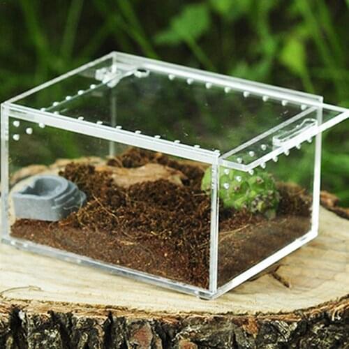 Reptile Breeding Box Acrylic Transparent Sliding Cover Reptile Tank Insect Spiders Tortoise Lizard Feeding Box Terrarium