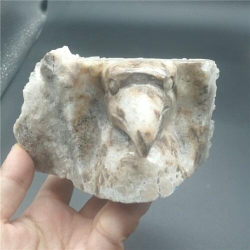 RD008 Natural Geode Crystal Cluster quartz eagle skull hand Carved crystal 538G