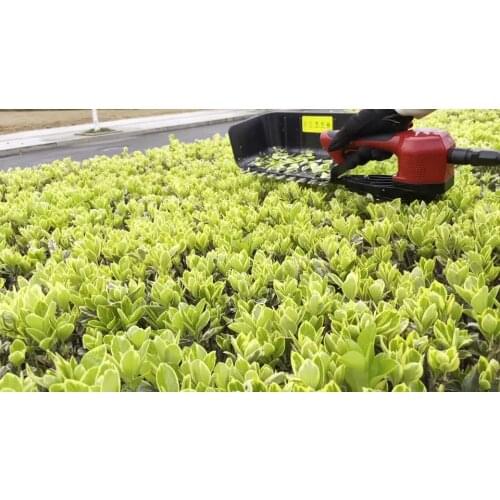 Nplus professional tea picking machine tea leaf picker suit lithium battery tea plucker without battery