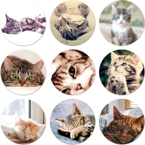 Sleeping Kitten Cat Icons Pins Badge Decoration Brooches Metal Badges For Backpack Decoration