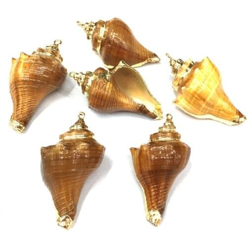 5Pcs Natural Shell Conch Pendants Charms for Jewelry Making Supplies Necklace DIY Bracelet Accessories Wholesale