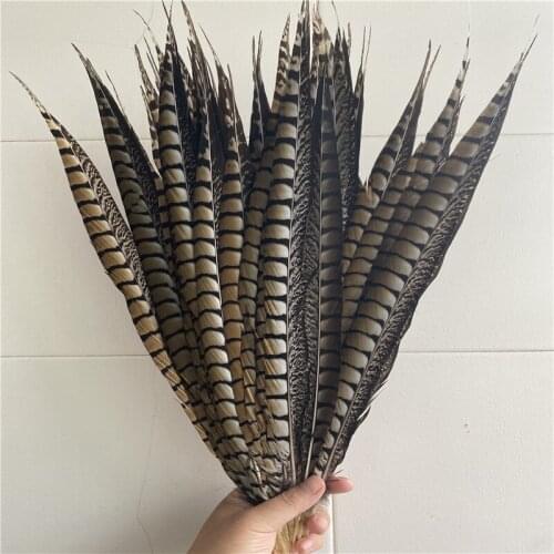 50pcs/lot Natural Lady Amherst Pheasant Tail Feathers 18-20inches /45-50CM Party Christmas Jewelry DIY Plume