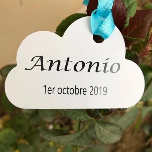 30 Personalized Wedding baptism baby shower cloud tags with blue ribbon marks places form black text table fancy paper label