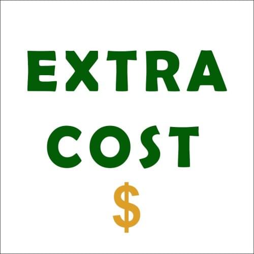 New Special Payment Link For Extra Shipping Cost or Additional Pay on The Order Standard or Ordinary Shipping