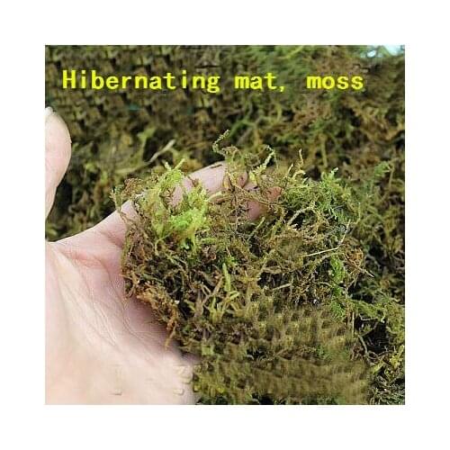 Reptile supplies natural moss pad water moss, turtle, yellow frog, scorpion, spider special pad Crawling pets can hibernate