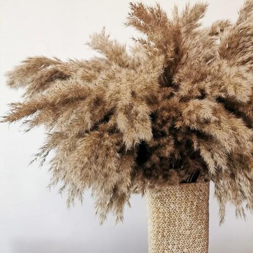 Dried flowers Pampas grass home decor ramadan diy craft kitchen decroation crafts supplies home accessories wedding easter