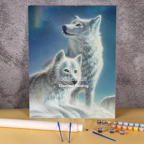 Wolf Animal DIY Painting By Numbers Set Oil Paints 40*50 Picture By Numbers Photo Handmade For Kids Art