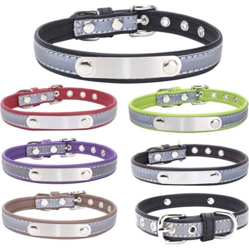 Jucy Pobby Collars, Harnesses And Leashes