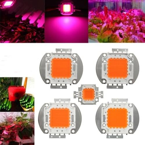 LED Chip Grow Light 10W 20W 30W 50W 100W Full Spectrum Plant Lamp Diodes Growth Lighting for Garden Flowering Hydroponics System
