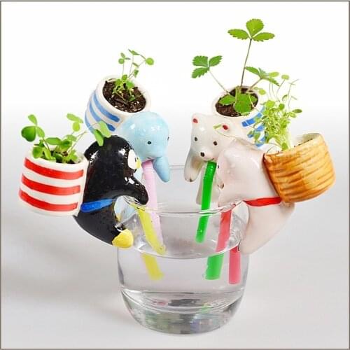 Hydroponic plants hydroponic flowers creative bonsai succulent plants, potted plants tabletop ornaments attractive indoor plants