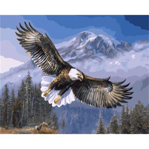 DRAWJOY Framed Picture Eagle Painting & Calligraphy DIY Painting By Numbers On Canvas Coloring By Numbers