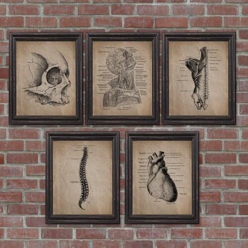 Human Anatomy Skeleton Prints and Posters , Anatomical Skull Wall Art Canvas Painting Vintage Posters Doctor Office Decoration
