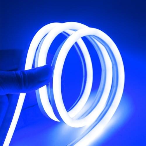 DC 12V Waterproof LED Strip Flexible Ribbon light Dimming Decoration Color Glow Light Silicone Tube Lamp DIY Decor power supply