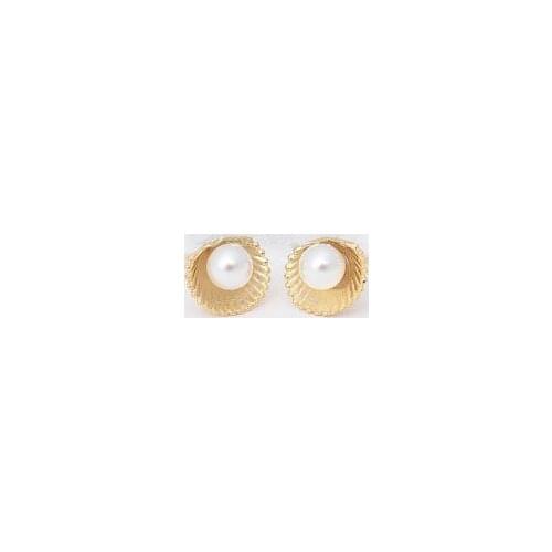 Fashion shell stud earrings, imitation pearl inside the shell of the stud earrings for women