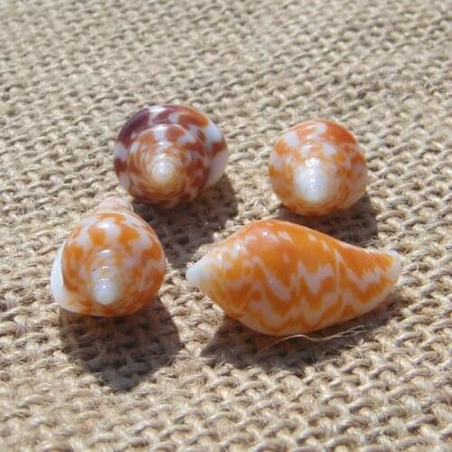 Natural spiral conch shells and starfish small fish tank floor wedding gifts DIY crafts