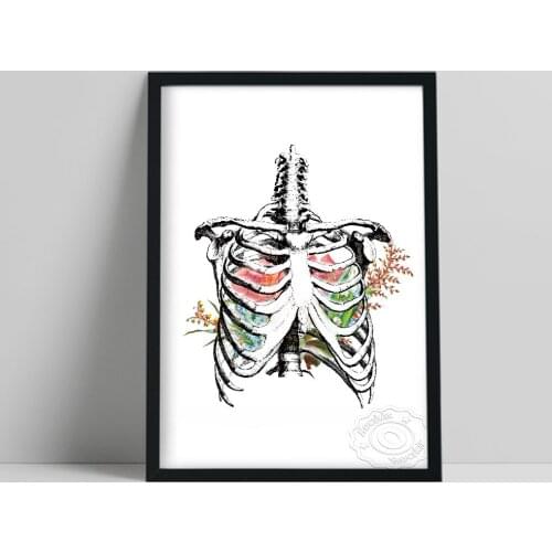 Beautiful Flower Innards Prints, Thorax Anatomical Medical Poster, Surgery Anatomy Rib Cage Wall Picture, Doctor Office Decor