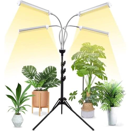 ZINUO Plant Lamps
