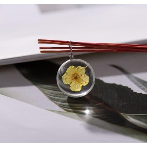 18# with hook Solid Real Dried Flower Spherical Glass Ball Glass beads #IY502