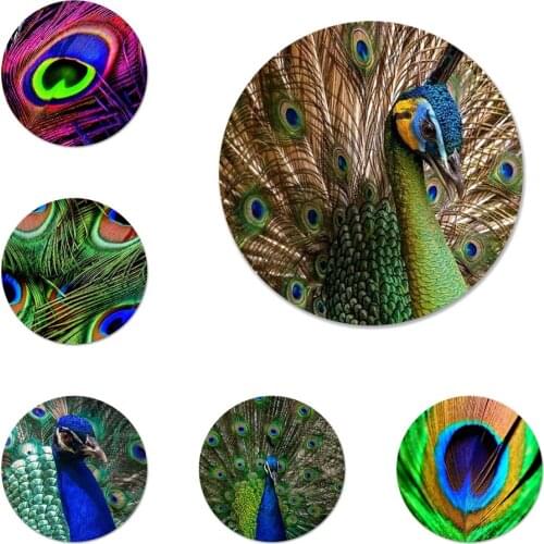 Peacock Scenery feather Icons Pins Badge Decoration Brooches Metal Badges For Clothes Backpack Decoration