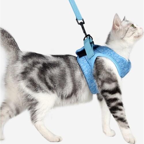 NIMBLE Collars For Cats