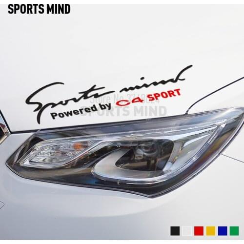 10 Pieces Customizable Car-Styling On Car Whole Body Car Stickers Decal For Citroen C4 Picasso Sports Car Accessories