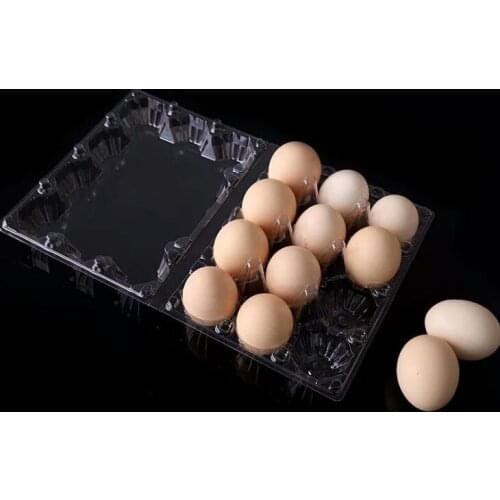 12 Holes 193*147*63mm Quail Eggs Container Plastic Clear Egg Packing Storage Boxes Wholesale LX1950