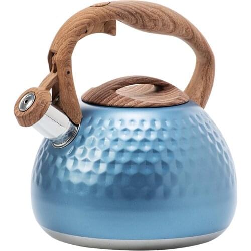 Whistling Kettle For Gas Stove Bouilloire Stainless Steel Whistle Tea Kettle Water Bottle Stainless Steel Whistling Tea Kettle