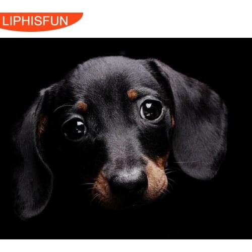 5D Full Embroidery Painting Cross Stitch Animal Dachshund Diy Diamond Painting Kits Cross Stich Square Diamond Painting Full