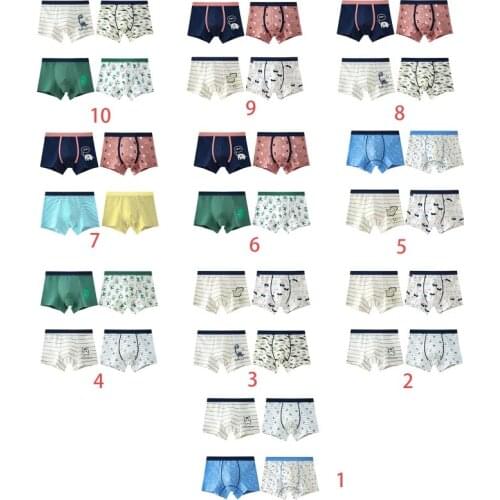 4Pcs Toddler Boys Underwear Boyshort Kids Cartoon Breathable Cotton Boxer Briefs GXMB