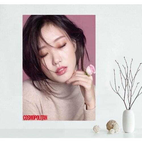 Modern Picture Mizuhara Kiko Poster Paintings For Living Room Wall Art Canvas Fabric Cloth Decoration Poster Wall Art Unframed