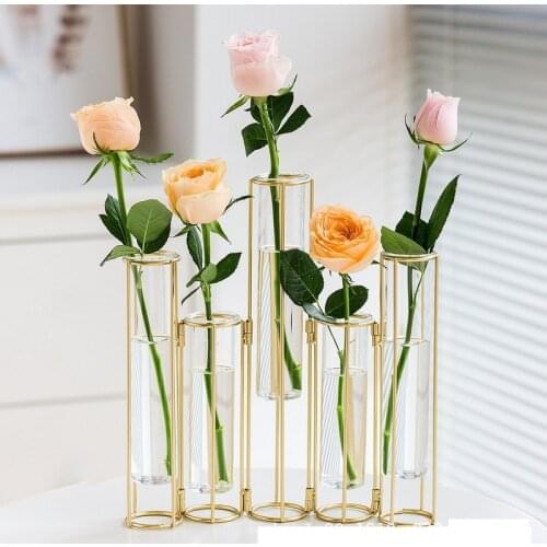 European Flower Arrangement Test Tube Vase Living Room Dried Flower Ornament Nordic Transparent Glass Small Fresh Flower Device