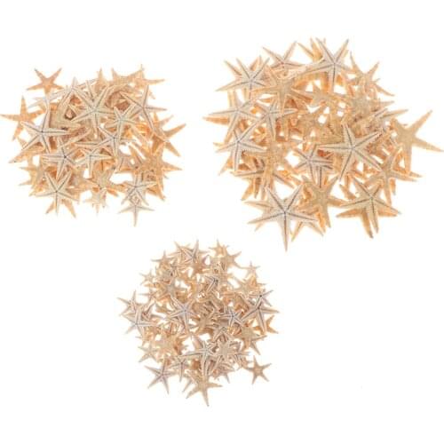 100pcs Sea Shells Size:0.5-3cm Mini Starfish Craft Decoration Natural Sea Stars DIY Beach Cottage Wedding Decor Crafts Wedding