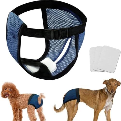 Despitego Briefs For Dogs