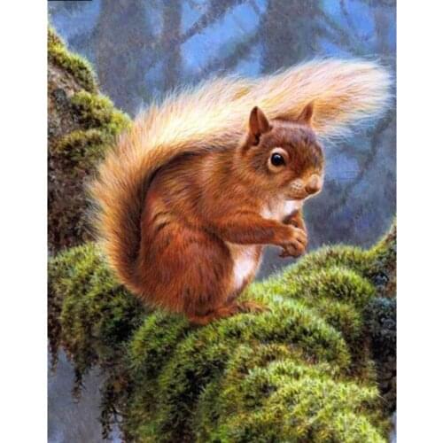 Dpsprue Full Square,Round Drill 5D DIY Diamond Painting "squirrel" Embroidery Rhinestone Cross Stitch 5D Home Decor Gift
