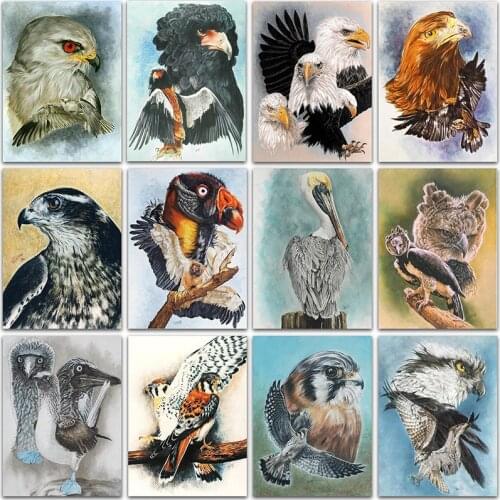 5D DIY Diamond Painting Kit Paint Animals eagle owl Full Square&Round Diamond embroidery Cross stitch Diamond mosaic home decor