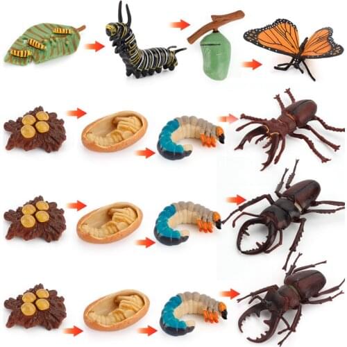 Newest Simulation Animals Growth Cycle Model Butterfly Action Figurine Cute Kids Baby Toy Figures Educational