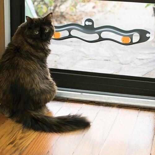 Cat Toys Interactive Track Ball toy Cat practical Window Suction Cup Track Ball Pet Accessories ball Cat Toys window