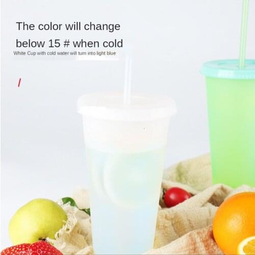 New color-changing water cup with straw to drink water and drink PP plastic cup multi-color optional water bottle with straw