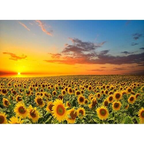 Needlework 5D DIY Diamond Painting Sunflower Landscape Diamond Embroidery Full Drill Rhinestones Mosaic Pictures crafts CV407