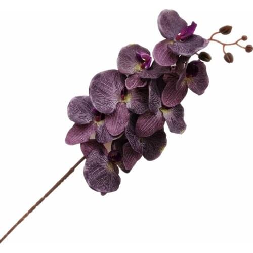 6pcs Silk Moth Orchid Flower Branches Phalaenopsis Butterfly Orchid Stems 8 Heads for Wedding Decorative Artificial Flowers