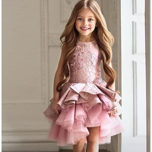 2-13 Year Old 2018 Fancy Flower Baby Girl Dress Child Long Sleeves Butterfly Pink Mesh Ball Gowns Kids Holy Communion Dresses