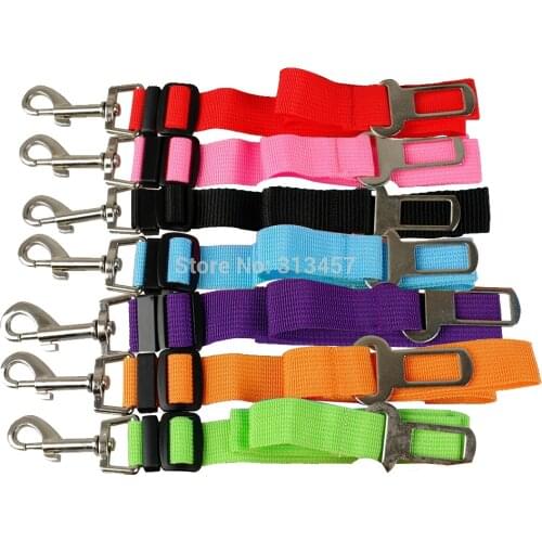 Beirui Products For Dogs