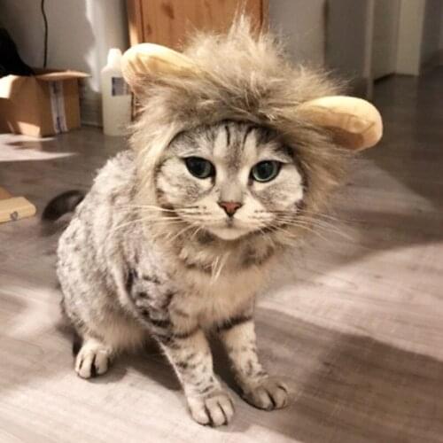Cute Cartoon Pet Cat Puppy Dog Halloween Costume Cosplay Lion Wig Hat Cap Masquerade Holiday Party Christmas Gift Pet Supplies