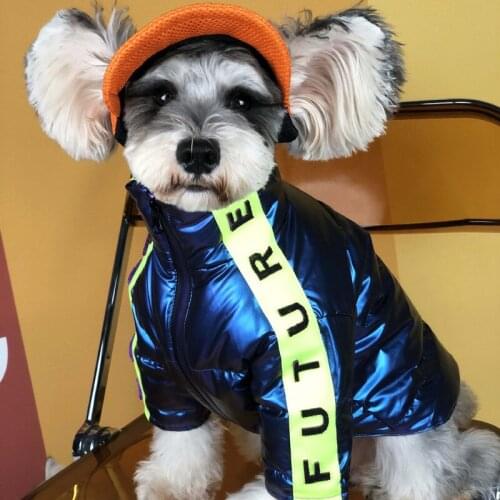 Thicken Dog Down Coat for Small Medium Dogs Winter Warm Dog Jacket Fashion Letter Schnauzer Clothes Yorkie Clothing Pug Costume