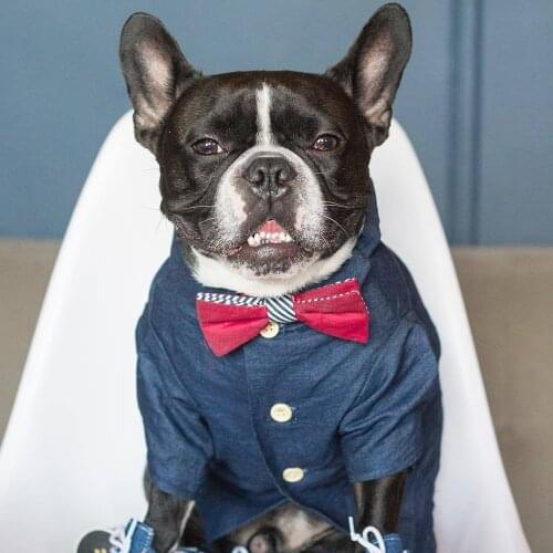 Luxury Dog Clothes Summer Clothes for Small Dogs T-Shirt Vest Designer for French Bulldog Pug York Chihuahua Dog Accessories