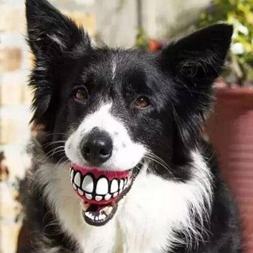 Rubber Ball Dog Toys Squeaky Cleaning Tooth Dog Chew Toy Small Puppy Toys Ball Bite Resistant Pet Sound Toy Funny Bite Balls