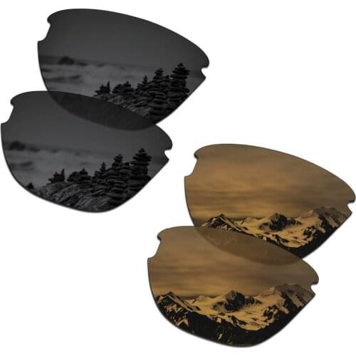 SmartVLT 2 Pairs Polarized Sunglasses Replacement Lenses for Oakley Frogskins Lite Stealth Black and Bronze Gold