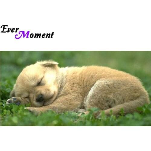 Ever Moment Diamond Painting Sleeping Dog Picture Of Rhinestone Full Square Drill Diamond Embroidery Cross Stitch 5D DIY ASF1359
